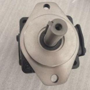 035 031 038 045 1R00船舶工业用 叶片泵T6D 050 028