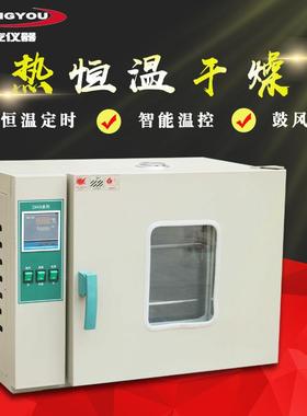 供应101A-0电热鼓风干燥箱恒温箱数显恒温干燥箱实验室高温烘箱