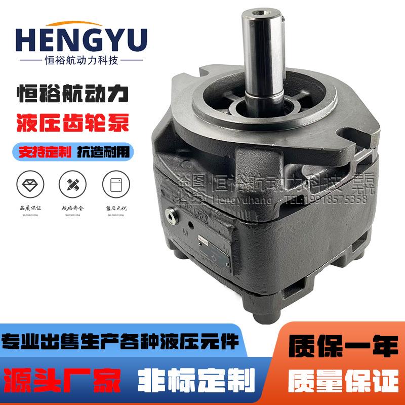 力士乐Rexroth齿轮泵PGH5-21/100RE11VU2PGH4PGH3液压油泵总成