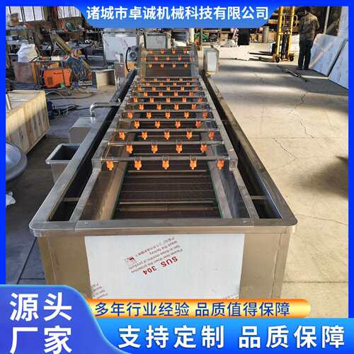 水果蔬菜清洗设备多功能净菜加工流水线去农残气泡清洗机