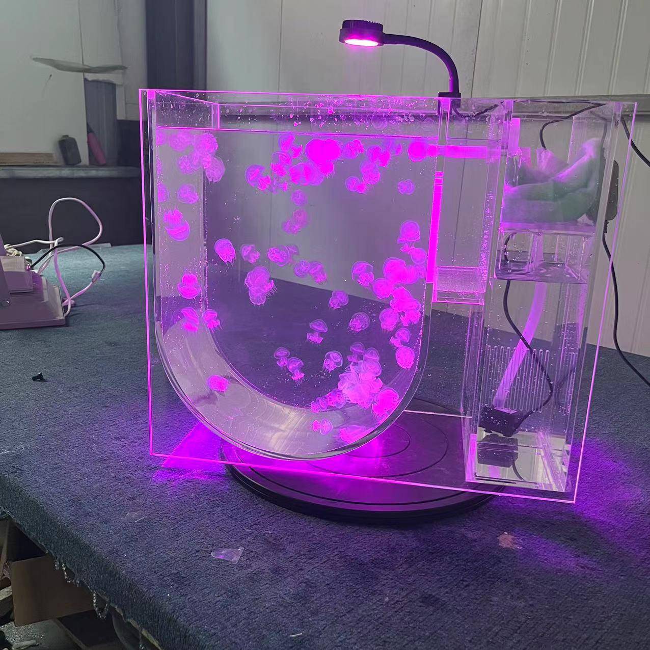 外贸亚克力水母缸专业赤月水母外贸款海洋馆