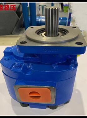P7600-F100N0367 6G齿轮泵 泊姆克压路机震动泵 300夯机齿轮泵