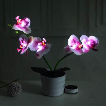 太阳能台灯LED兰花盆栽灯灯卧室客厅阳台书房装饰LED蝴蝶兰花灯