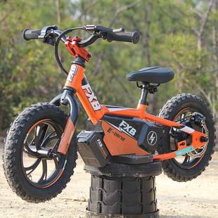 FXB欧美市场热销新品 儿童电动滑行平衡车250W轮毂电机摩托