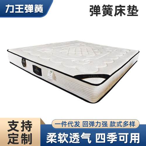 天津棕垫床垫零售家用床垫软硬两用1.5m1.8m床椰棕垫软垫