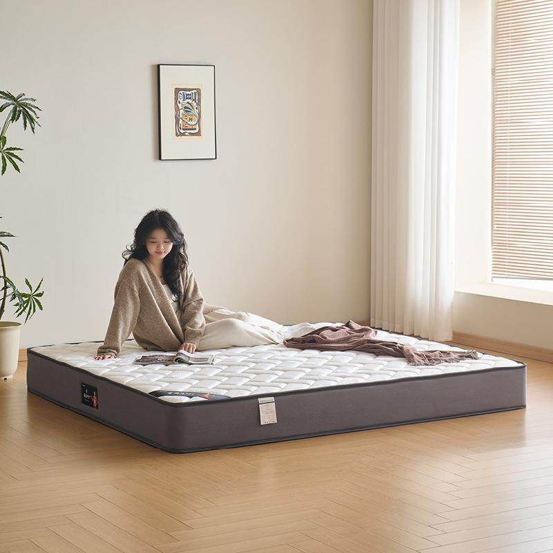 天鹅绒乳胶冰丝床垫软硬适中两用静音抗干扰家用席梦思床垫,3C数码配件,USB灯,淘宝优惠券,粉丝福利购,淘宝优惠卷