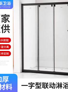 一字型淋浴房不锈钢浴室隔门干湿分离钢化玻璃隔断淋浴屏轻奢风