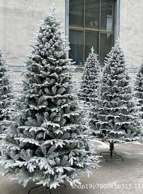 圣诞节白色雪花植绒PE圣诞树1.5米1.8米2.1米3米仿真雪松雪景装饰