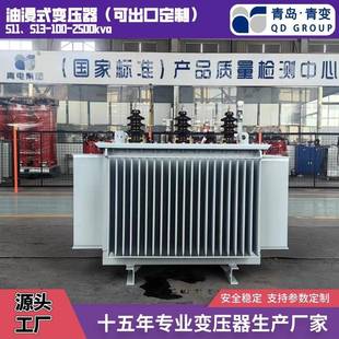 变压器S20 400500630KVA油浸式 S22系列 青电变压器厂S13