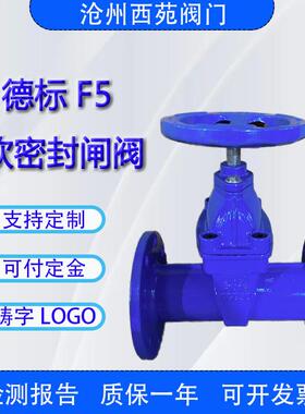 推荐人气西苑生产阀门GGG50德标F5F4明暗杆软密封闸阀DN80