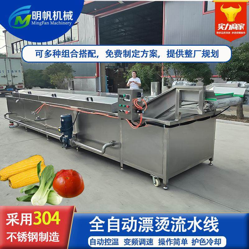 巴氏杀菌机全自动杀青漂烫机低温巴氏杀菌机蔬菜漂烫预煮机,清洗/食品/商业设备,其他食品加工设备,淘宝优惠券,粉丝福利购,淘宝优惠卷