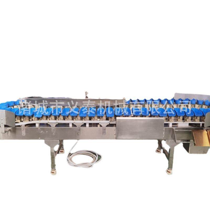 全自动象拔蚌分选机大黄鱼称重分选机多宝鱼分选设备,清洗/食品/商业设备,其他食品加工设备,淘宝优惠券,粉丝福利购,淘宝优惠卷