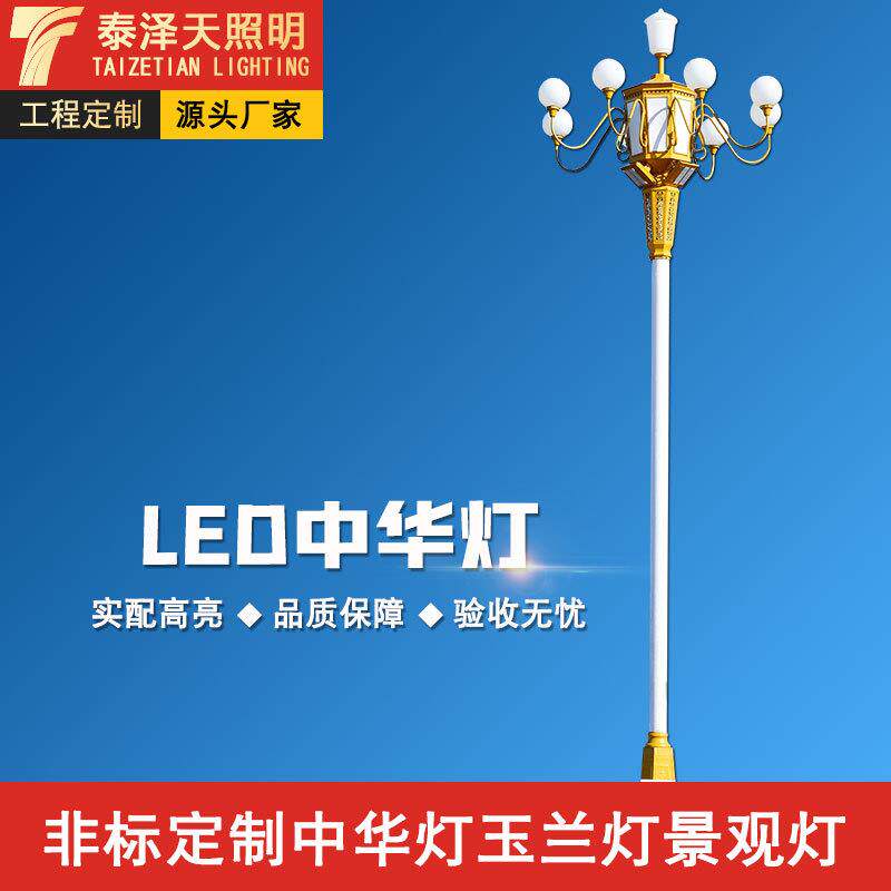 户外LED6米8米园林景观灯民族风文化广场路灯市政大型12米中华灯