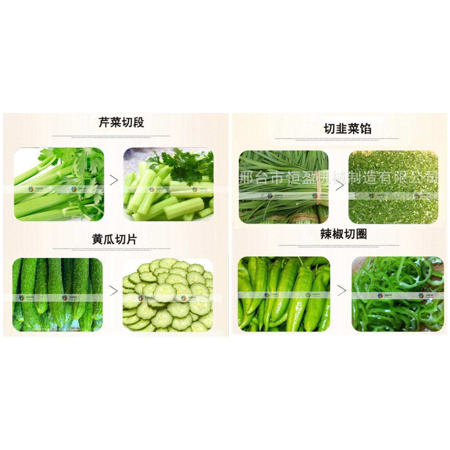 胡萝卜切片机 白菜切丝机 小葱切段机 商用大型快速多功能切菜机