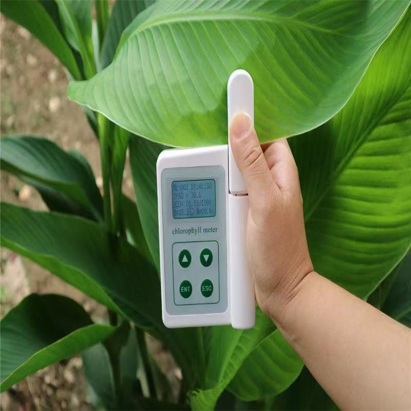 便携植物叶绿素测含量分析仪手持式叶绿素测定仪YLS质保一年