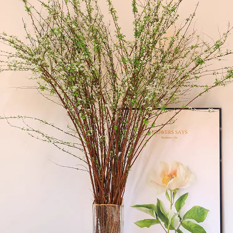 雪柳干枝鲜枝水养插花水培植物鲜花卉室内盆栽带花苞绿植龙柳好活,鲜花速递/花卉仿真/绿植园艺,红掌/凤梨/温室花卉,淘宝优惠券,粉丝福利购,淘宝优惠卷