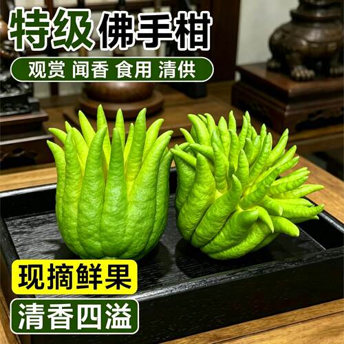 新鲜云南佛手柑清供新鲜果桌面闻香观赏摆件食用大果现摘天然香薰