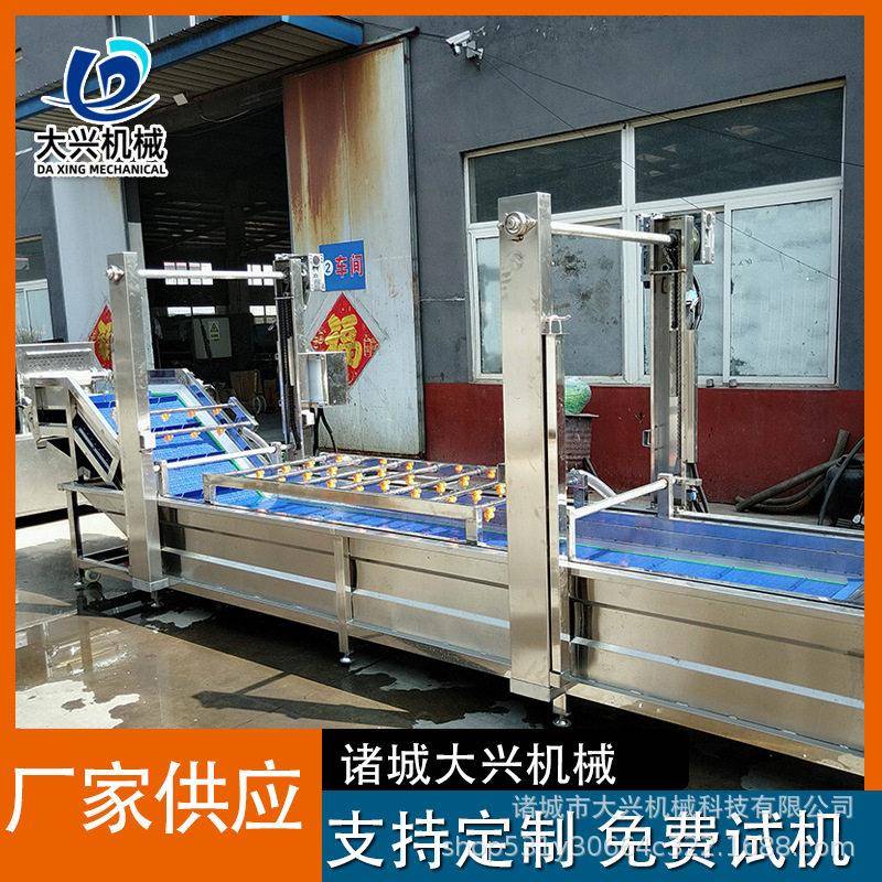 大型鸡爪冻盘解冻清洗机水浴式八爪鱼化冻清洗解冻线肉类解冻机