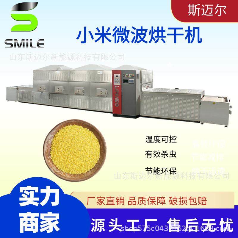 隧道式微波烘干设备红枣烘干脱水机枸杞杀菌干燥设备