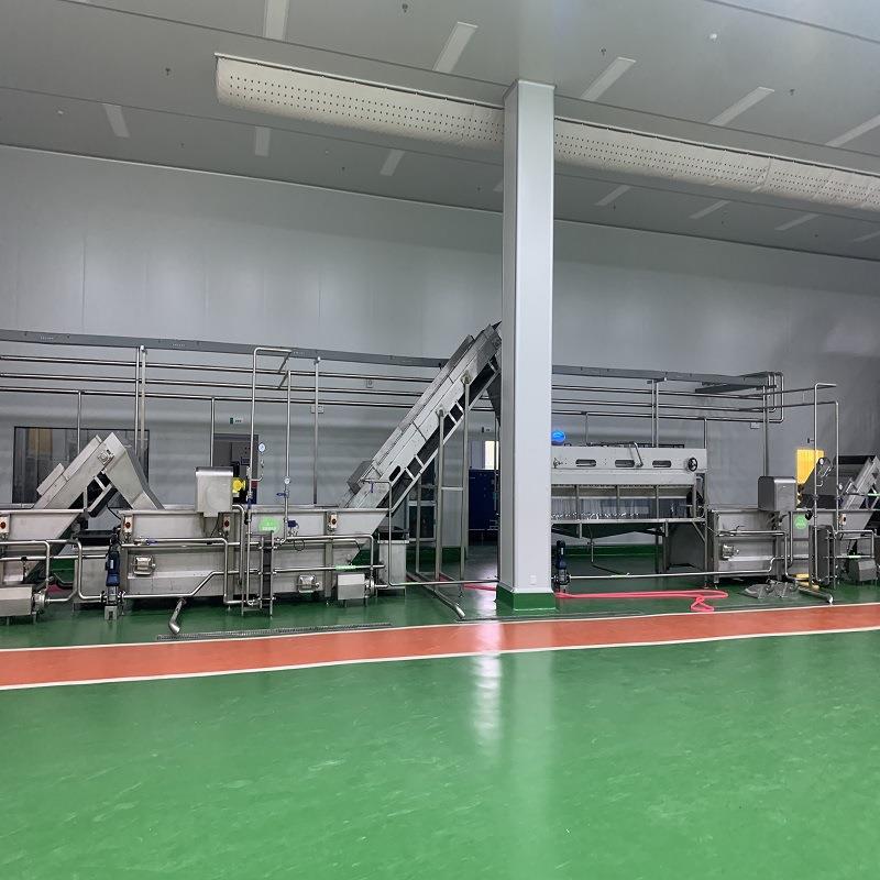 香水柠檬清洗设备脐橙气泡清洗机超声波清洗304不锈钢