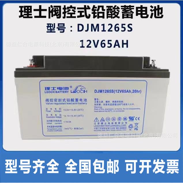 理士蓄电池DJM1265S铅酸蓄电池12V65Ah电源