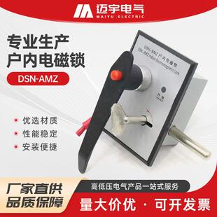 户内使用高压电磁锁户内电磁锁dsn-bm2钥匙配锁高压开关柜电控锁