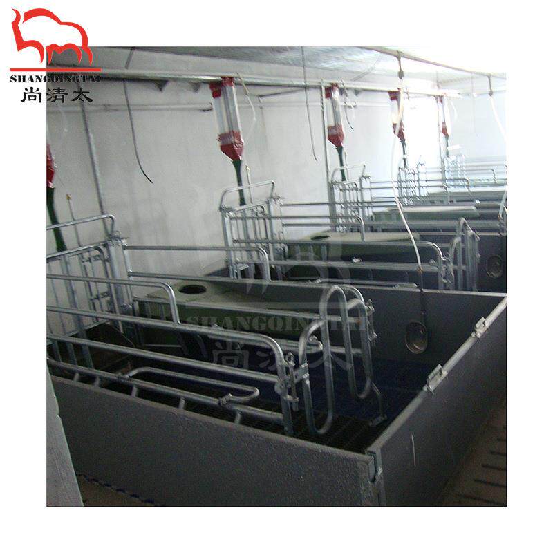 分母猪娩单栏分SUK娩床 养猪农用防护器具