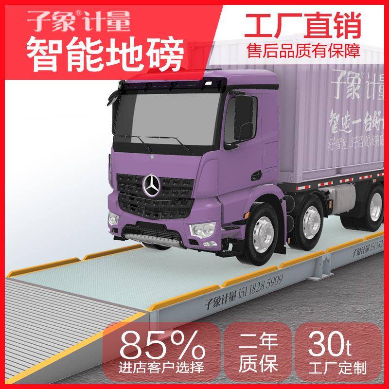 智能地磅工厂直销0-50吨电子秤农批市场林场养殖场称重用汽车衡