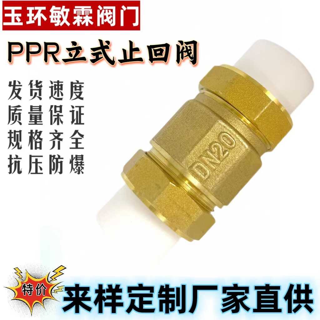 铜PPR立式止回阀卧式逆止阀单向阀4分6分1寸热熔配件水管防倒流阀
