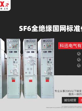 SF6全绝缘国网标准化柜全绝缘充气柜六氟化硫全封闭式环网柜