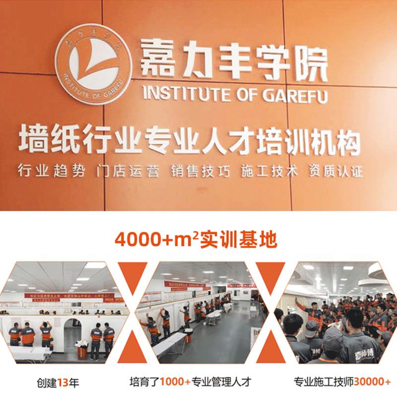 嘉力丰糯米胶墙布专用胶基膜套装 婴童净味墙纸胶水零甲醛壁纸胶