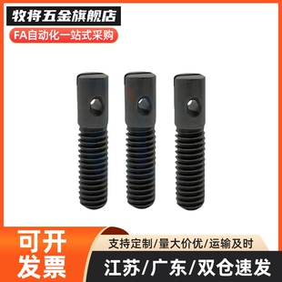 FFE01拉伸弹簧用支柱 AIPOZ/8/10/12/-15/20~35/45/55/65粗牙孔型