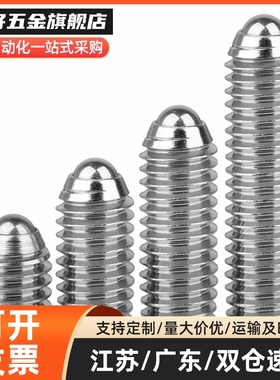 不锈钢球头柱塞 BSZF BSX 3 4 5 6 8 10 12 16