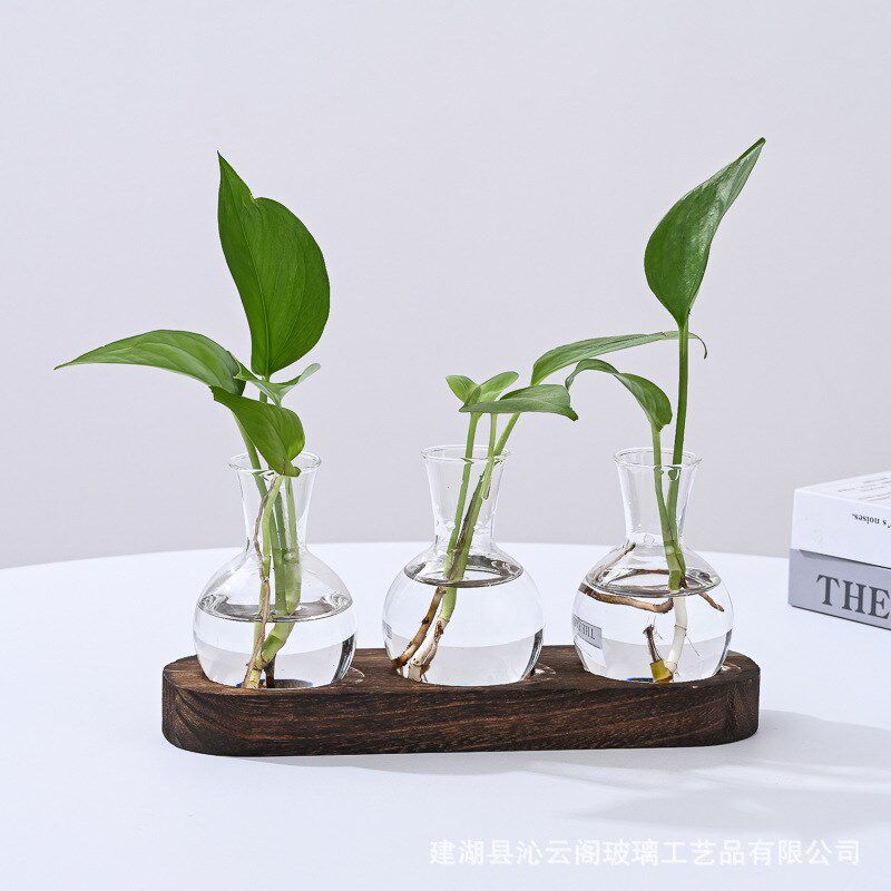 桌面水培玻璃花瓶 水养植物插花玻璃容器 客厅木架水培摆件
