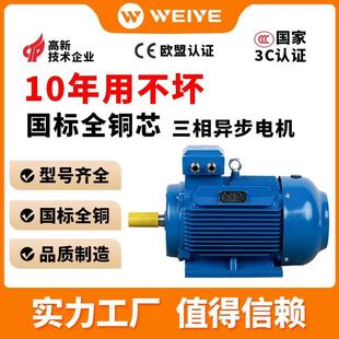 YE3全铜三相异步卧式 铁壳电动机2级4级0.75KW1.1kW2.2k 电机立卧式