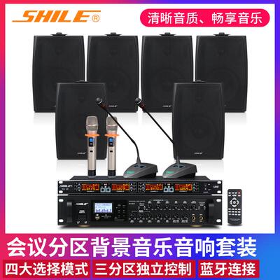 会议音响套装狮乐功放AV8820壁挂音箱BX105/102店铺背景音乐设备