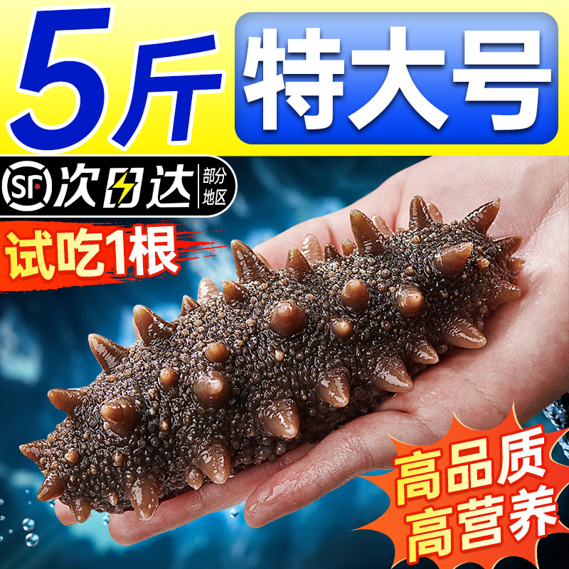 海参即食刺鲜活淡干海渗渤海湾瓦房店干货野生海生5斤特价装袋