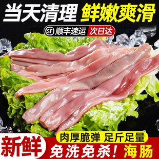 海肠新鲜速冻鲜活沙虫海捕海肠皮1000克葱油海肠捞饭海鲜水产商用