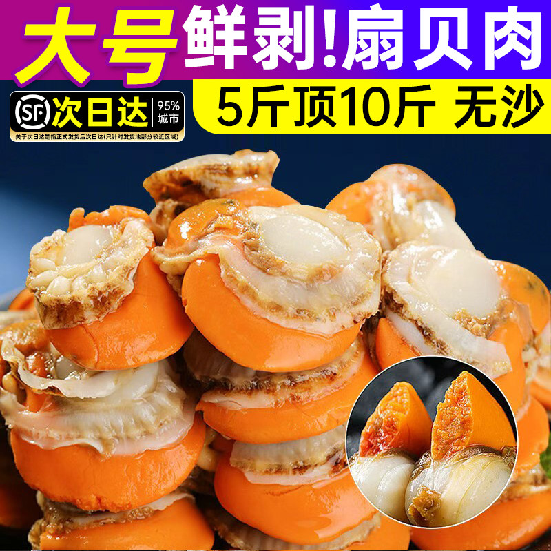 新鲜冷冻大个扇贝肉海鲜红贝烧