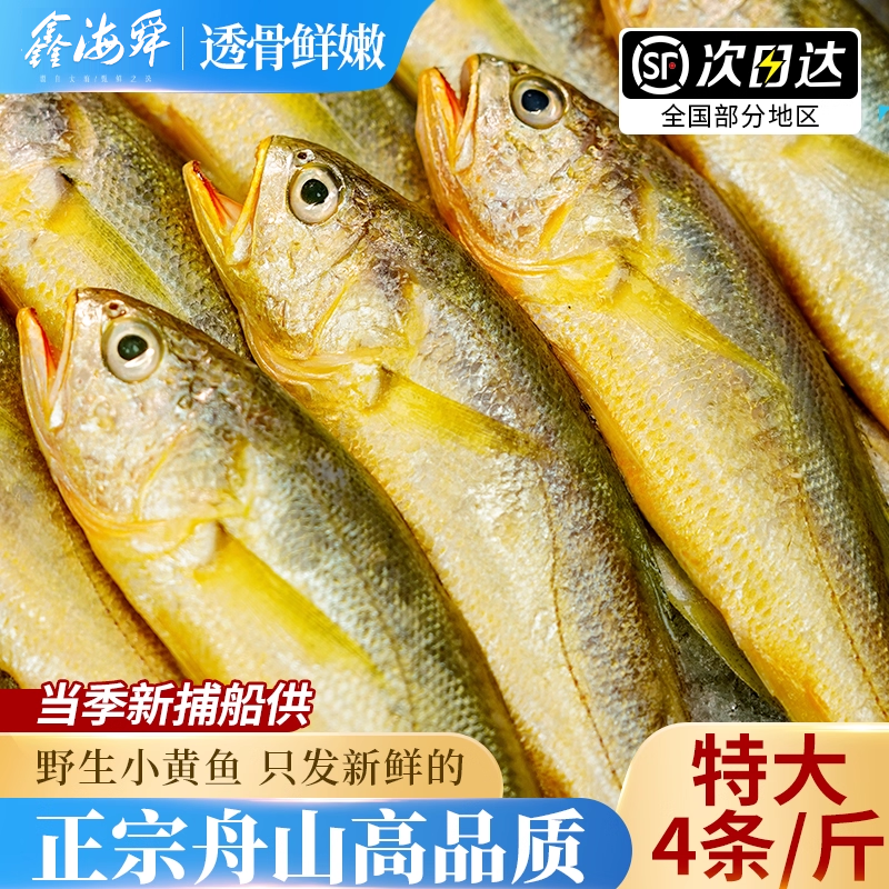 真正舟山小黄鱼新鲜冷冻深海海鲜