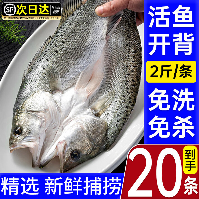 海鲈鱼新货鲜冻烤鱼半成品清蒸预