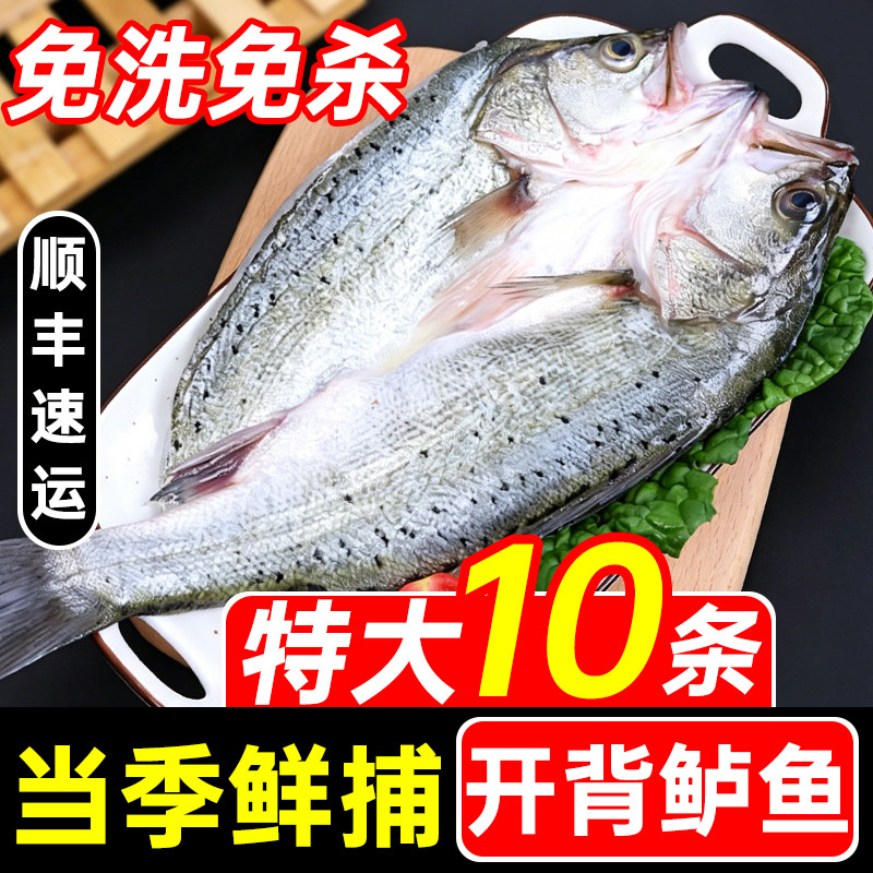 海鲈鱼新鲜冷冻烤鱼半成品清蒸预制菜开背清水鲜活鲈鱼官方旗舰店