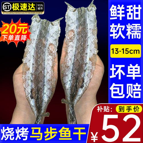 烧烤专用马步鱼自晒针鱼棒棒鱼多