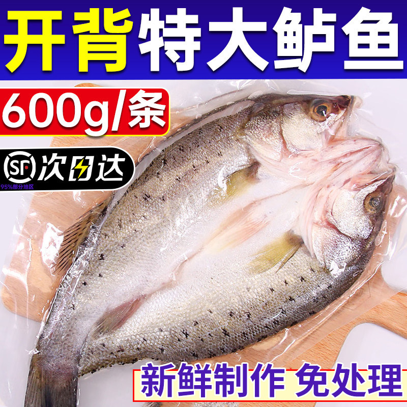 海鲈鱼新货鲜冷冻烤鱼半成品清蒸图片
