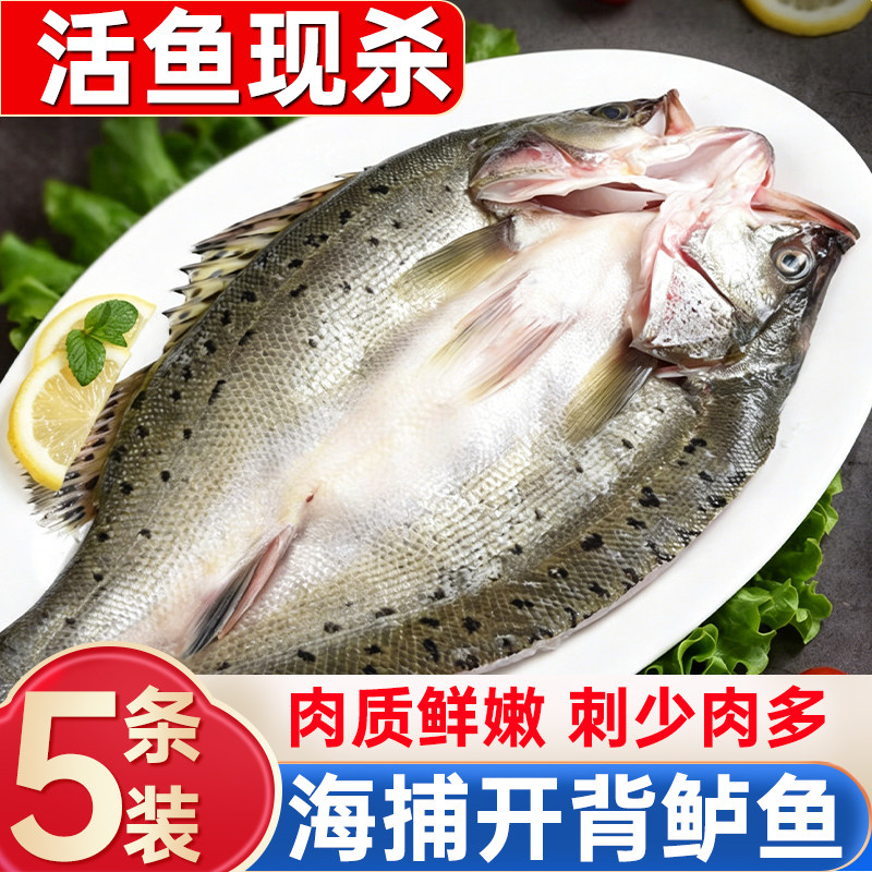 海鲈鱼新鲜冷冻烤鱼半成品清蒸预制菜开背清水鲜活鲈鱼官方旗舰店