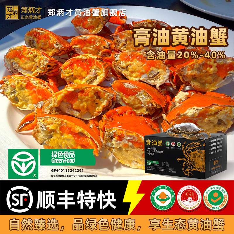膏油黄油蟹海蟹咸淡螃蟹青蟹膏油蟹特大南沙青蟹郑炳才黄油蟹活蟹