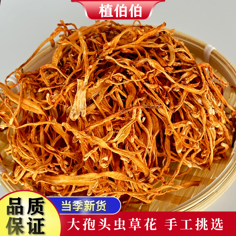 虫草花干货煲汤材料特级蛹虫草北虫草食材菌菇正宗商用一级非野生