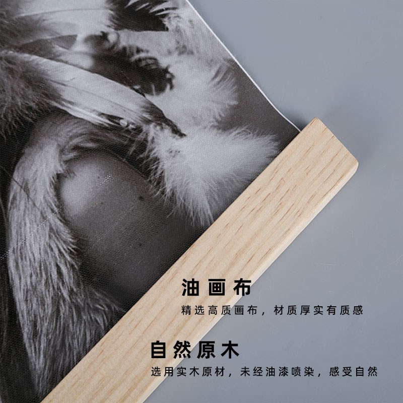 现代简约光影植物装饰画ins小清新客厅卧室挂轴画入户玄关背景墙图片