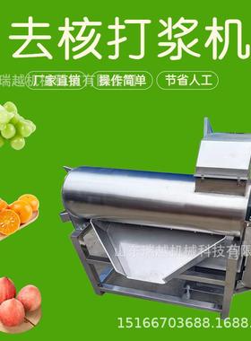 百香果去籽打浆机 芒果去皮打浆机 商用红枣杨梅不锈钢去核打浆机