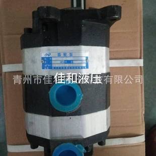 工地打桩机双联齿轮泵重量轻材质结实多种规格